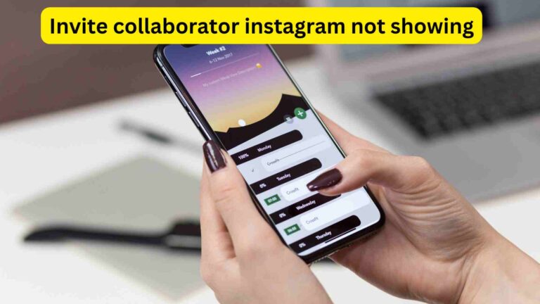 Why is Invite Collaborator Instagram not Showing? Potential Causes & Fixes 